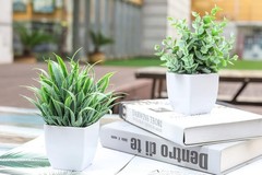 Der Rose 2 Pack Small Fake Plants Mini Artificial Potted for 2-grey