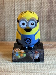 Black-Multicolor Minion-Birthday-Perfect/dp/B0946RZYWT Toy