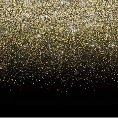 Hyper Creations Black & Gold Photo Booth Wedding Graduation Back Drop New