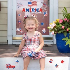 2 Sheet Patriotic Thick Gel Clings 4th of July American Flag Star Truck Gnome