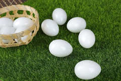 10Pcs Solid Parrot Plastic Fake Eggs Realistic, Simulated Fake Bird Eggs for Hat