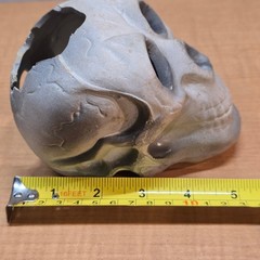 Plastic Human Skull Small 5″ Decoration Halloween Gothic