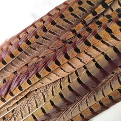 20pcs Male Pheasant Feather Natural Ringneck Tails Feathers 12-14inch 30-35cm…