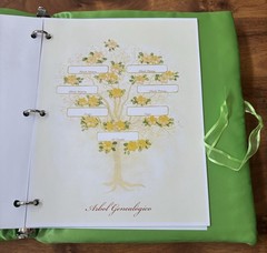 New 3pc Lime Green Zebra Quinceañera Ceremony Set Bible Photo Album Guest Book