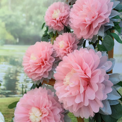 Paper Flower Decorations for Wall Backdrop Girld Nursery Wall Decor Wedding Brid