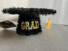 Tinsel and Plastic 5” Graduation Cap 3D Decoration Hanging Or Tabletop New
