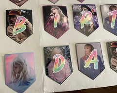 Taylor swift Birthday Banner 24 Cupcake Toppers 16 Balloons 6 Swirls& Backdrop