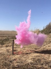 Gender Reveal Targets BlastCloud Colorful Explosion Set for Celebrations
