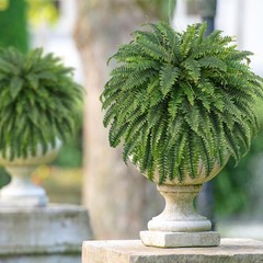 FOREST PRINCE 50″ Artificial Boston Ferns, Fake Bush 1 Pcs, 1 Pcs