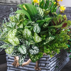 Cindeer 24 Pcs Artificial Flowers as shown in the picture, Vivid Color