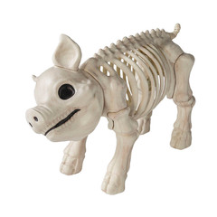 24 1/4″ Standing Pig Skeleton Halloween Decoration – Morris Costumes