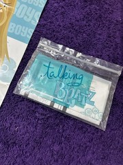 Bratz poster with accessories bag and instructions for Talking Bratz