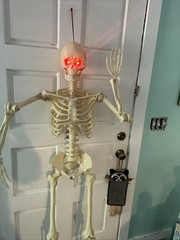 Crazy Bonez PoseNStay 5FT Skeleton Posable Moveable Joints Eyes light up