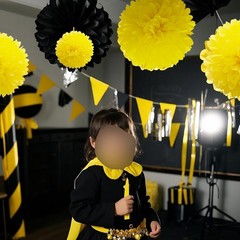 15 Pcs Black and Yellow Tissue Paper Pom Poms Flowers Bee Theme Party Decor