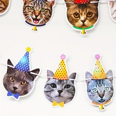 Pet Cat Birthday Party Banner, Kitten Paper Streamer with Cute Cat Face Design◐