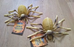2 x SPIDER SKELETONS creepy Town 21.5×12.x6cm Solid Plastic Funky Halloween Fun