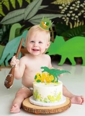 Baby’s One 1st First Birthday Dinosaur Decorations Dinosaur Birthday Crown Banne