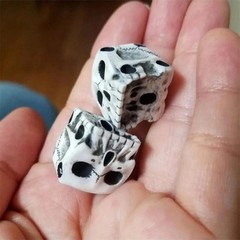 1 Pair Six Sided Horror Skull Bone Skeleton Dice Board Game