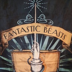 Fantastic Beasts & Where to Find Them 30×50 Banner Loot Crate Harry Potter