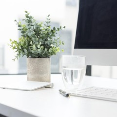 Coferset 2 Pack Small Fake Plants Eucalyptus Potted zzzz-s, Sage Green-small