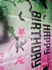 WICKED Themed Happy Birthday FLAG Backdrop Background Banner Pink Green 3×5
