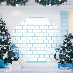 4 Pcs Winter Igloo Door Decorations Penguins Door Backdrop Classroom Decor Ph…