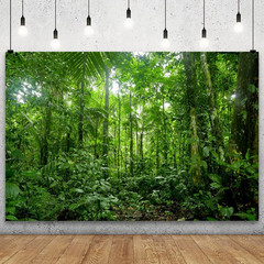 5X3Ft Jungle Forest Trees Backdrops for Photography Summer Woods Wonderland Tree