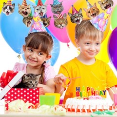 Cat Banner Party Decorations for Backdrop Cat Happy Banner Garland Sign for G…