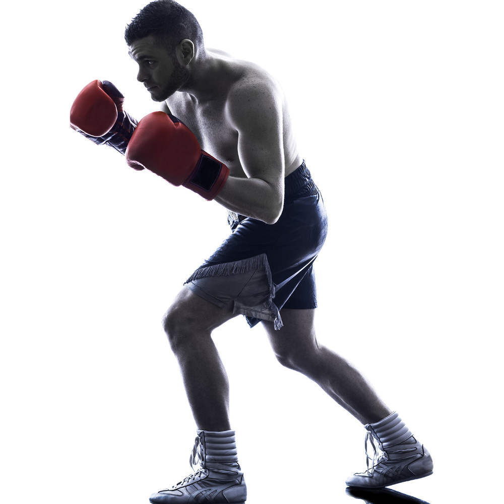 SP13405 Boxing Boxer Fight Dukes Up Cardboard Cutout Standee Standup