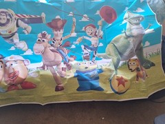 Toy Story Vinal Party Back Drop