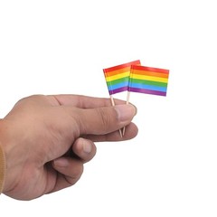 100 Pcs Rainbow Pride Toothpick Flag,Gay LGBTQ Mini Rainbow Gay Pride Toothpi…