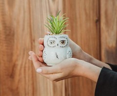 Harry Potter Hedwig 3-Inch Ceramic Mini Planter with Artificial White