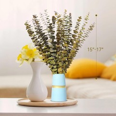 20 PCS Dried Eucalyptus Stems, 17» Natural Real Live Yellow