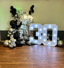 Sequin Wall / Shimmer Wall Panels Multiple Colours x 49 panels 30cm x 30cm