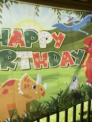Dinosaur Birthday Banner Kids Decor 71” X 43” Waterproof Vinyl (Read Details)