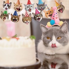 Cat Banner Party Decorations for Backdrop Cat Happy Banner Garland Sign for G…