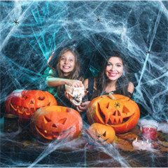 2 Pack Stretchable Spider Web + 2 Fake Spiders Halloween Party Decor Cobweb Prop