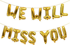 We Will Miss You Balloon Banner Retirement Farewell Party Decorations 16 Inches