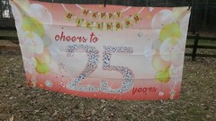 Cheers To 25 Years 25th Birthday Banner Photo Backdrop rosegold 5 ft x 3 ft
