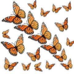 Monarch Butterfly Decorations, 24 PCS Monarch Butterfly Wall Decor 3D Style a