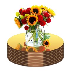 10PCS Gold Round Mirror Centerpieces for Tables Acrylic Circle Mirror Tray Ca…