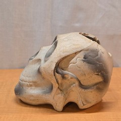 Plastic Human Skull Small 5″ Decoration Halloween Gothic
