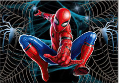 NEW Spiderman 5Ft X 7Ft Web Banner Logo birthday party backdrop decoration prop