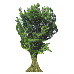 H13145 Tree Cardboard Cutout Standup