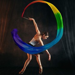 16.4FT Dance Streamer Gymnastics Dance Ribbons Belly Dance Real Silk Ribbon T…
