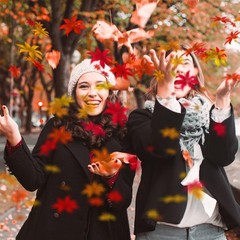 Larrel 200 Pcs Fake Fall Leaves, Realistic Leaves for 200, Colorful
