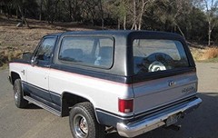 1973-1987 Chevy GMC Black Side Body Trim Molding C10, C20, Half Roll – 160″