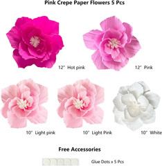 Party Tissue Pom Poms