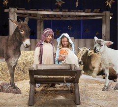 Photo Realistic Standing Cardboard Donkey Party Display Play Prop 33″Lx50″H #146