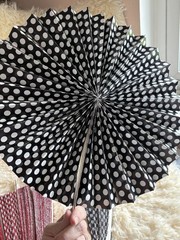 Hanging Paper Fans Party Set 11pcs Decoration for Birthday Wedding, 5 Red 6 BLK